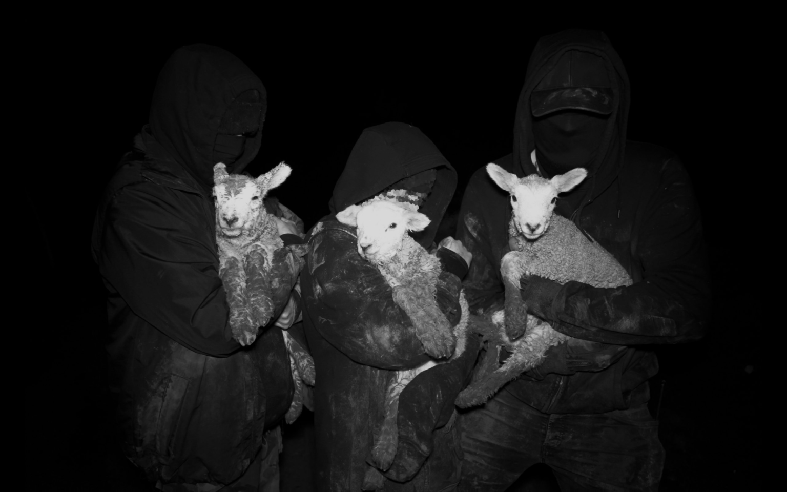 HUNTING TOWERS CUT DOWN IN SOLIDARITY WITH TOBY SHONE. Unoffensive Animal